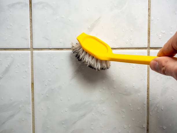 Best Health and Safety Mold Remediation in Horicon, WI