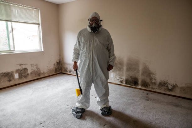 Best DIY Mold Remediation Support Services in Horicon, WI